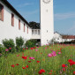 Blühwieser vor der Kirche